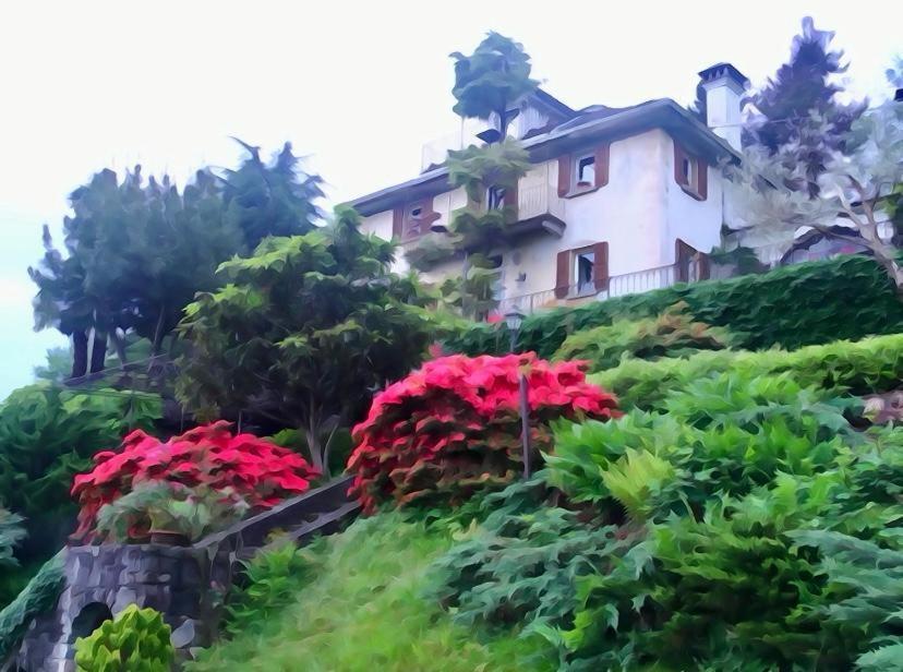 B&B Villa Moro - Family House ドモドッソラ エクステリア 写真