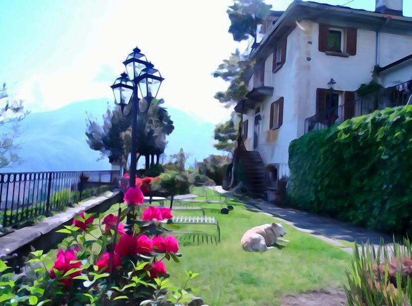 B&B Villa Moro - Family House ドモドッソラ エクステリア 写真