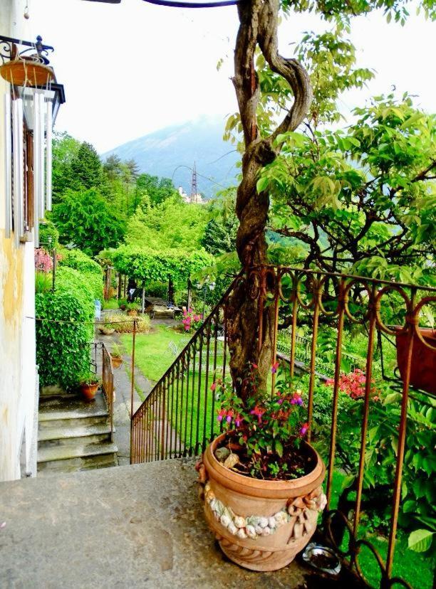 B&B Villa Moro - Family House ドモドッソラ エクステリア 写真
